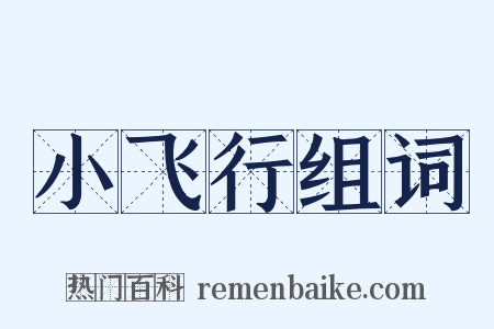 小飞行组词是什么意思的图片